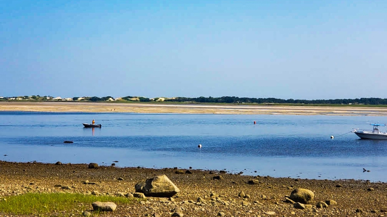 Photo of Others in Barnstable