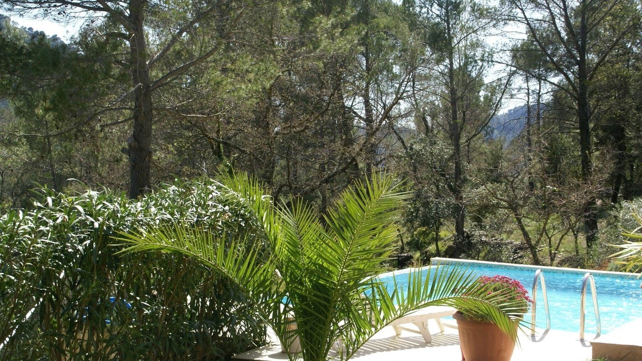 Photo of Outdoor in Bargemon