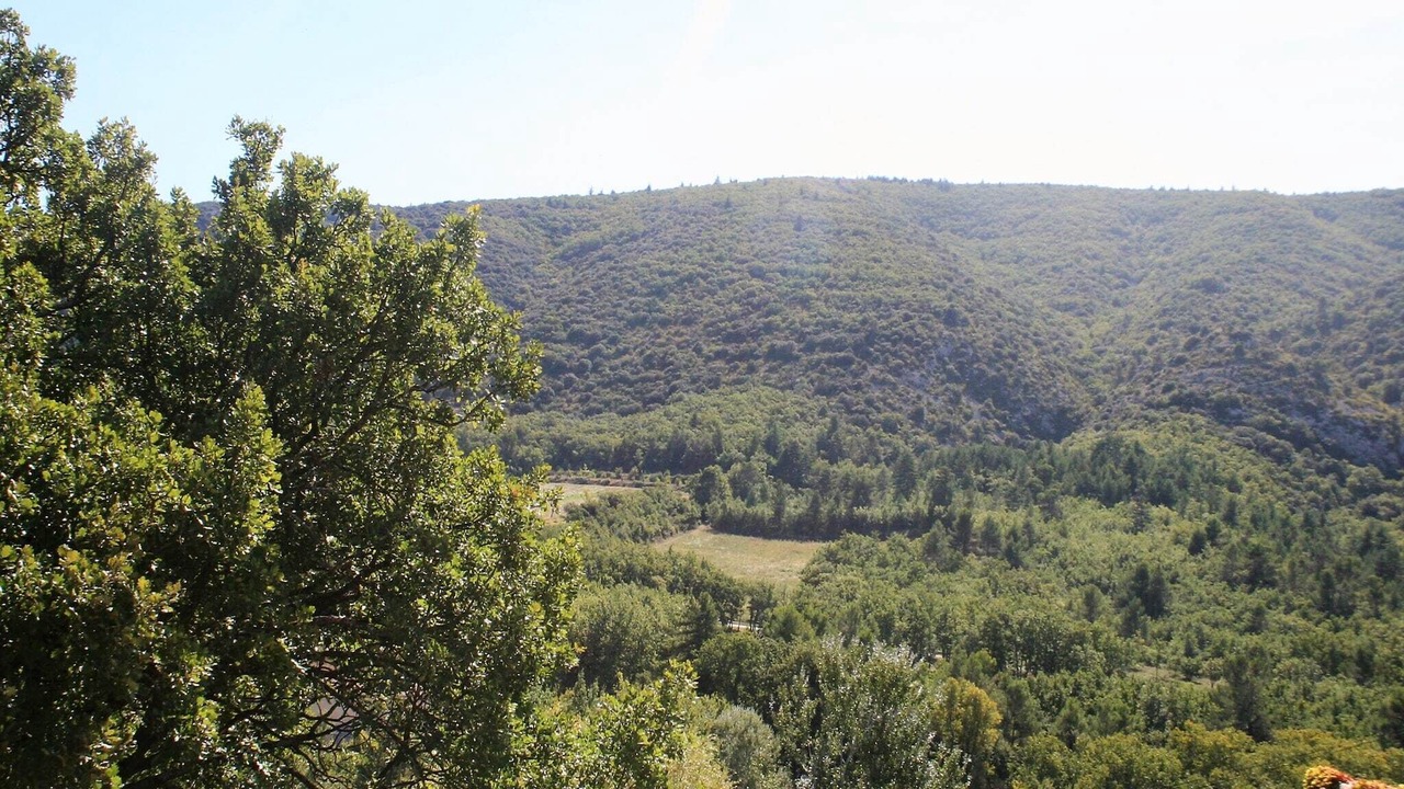 Photo of Others in Lacoste