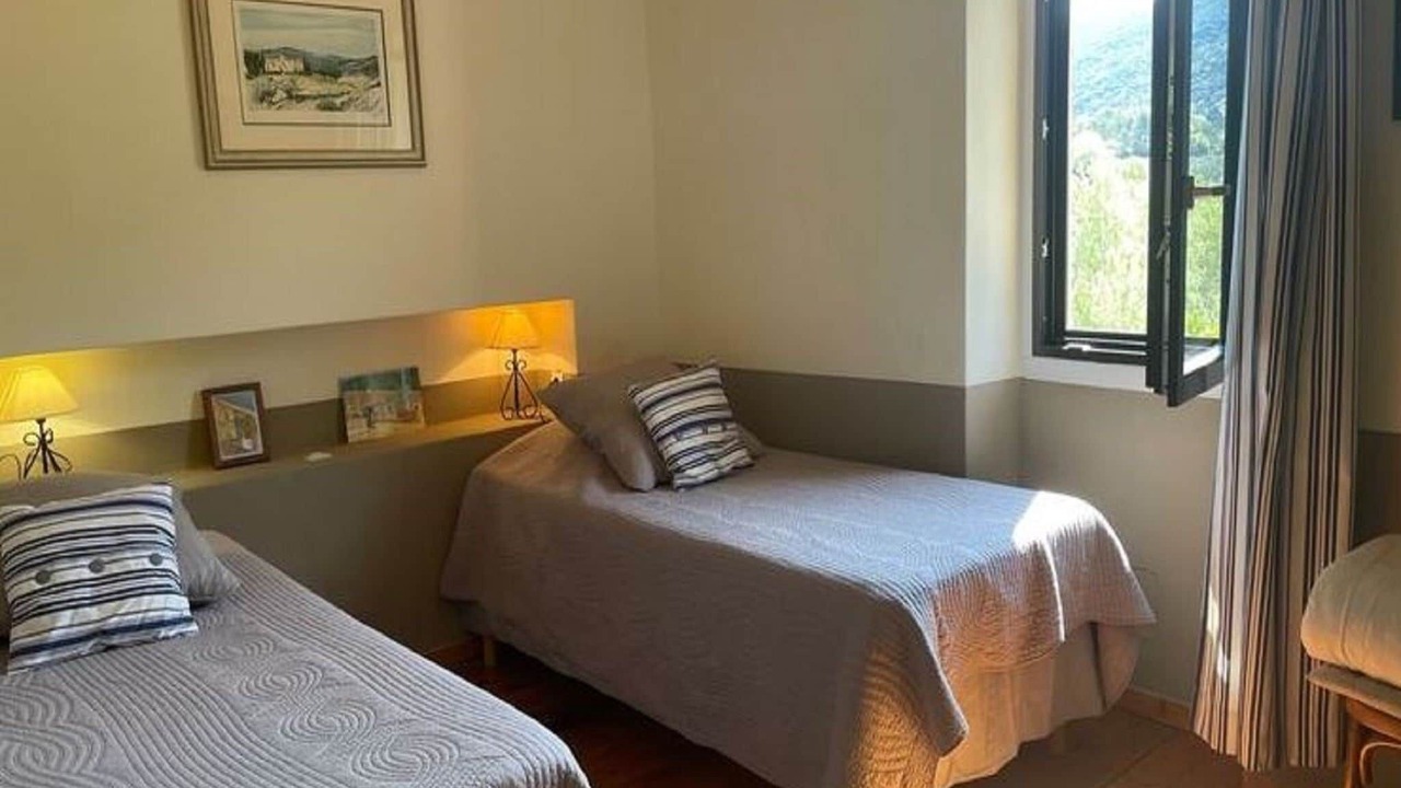 Photo of Others in Lacoste