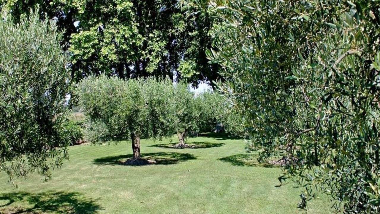 Photo of Others in Lacoste