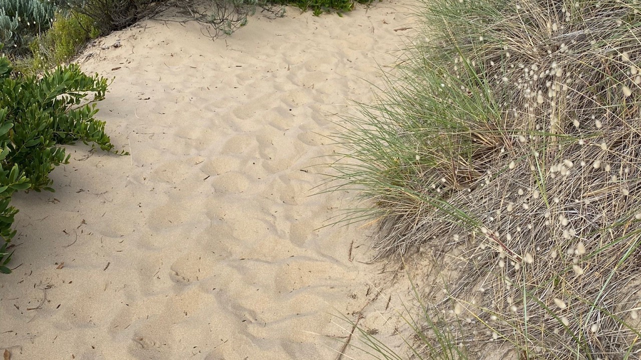 Photo of Outdoor in Cape Paterson