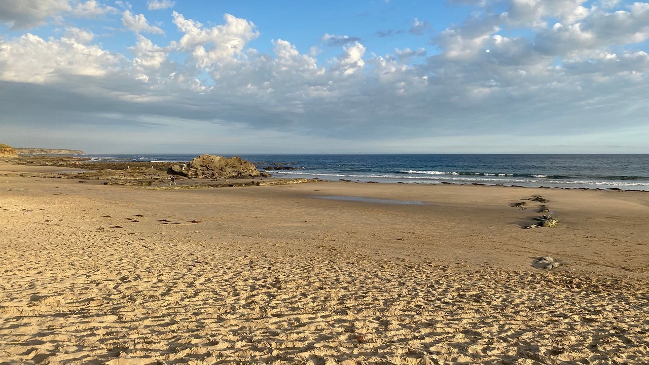 Photo of Others in Cape Paterson