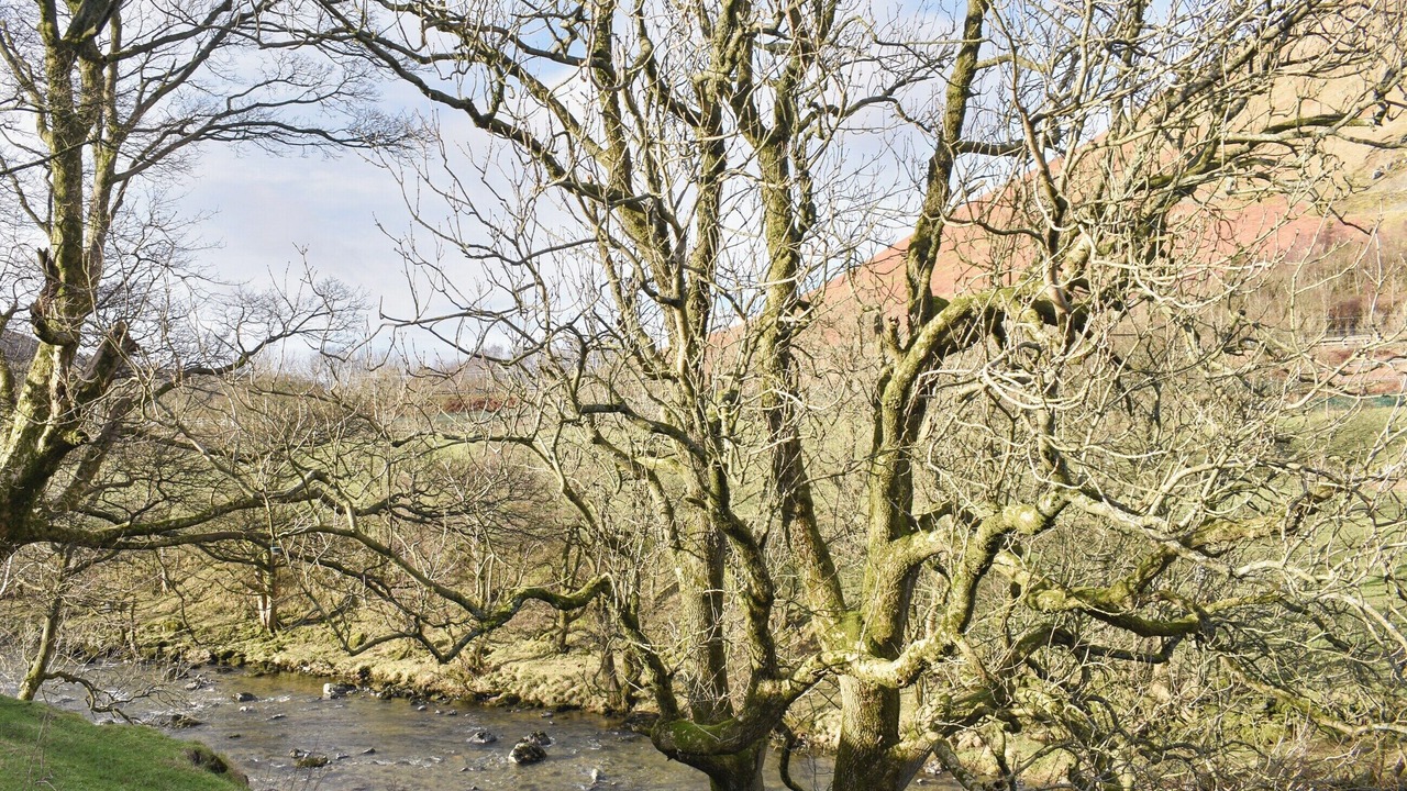 Photo of Others in Bretherdale