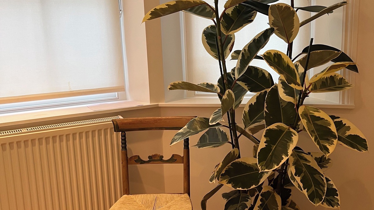 Photo of Others in Colville