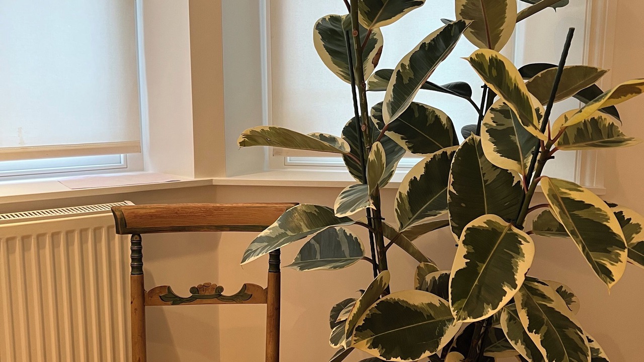 Photo of Others in Colville