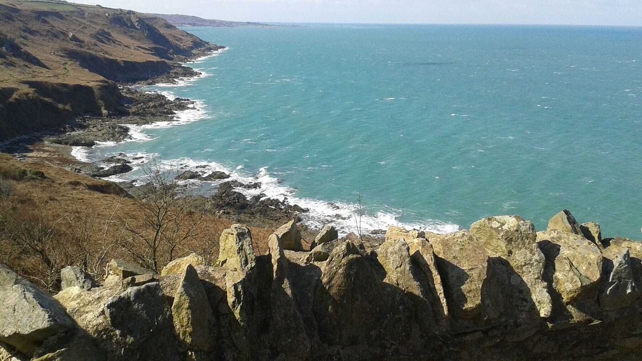 Photo of Others in Saint-Remy-des-Landes