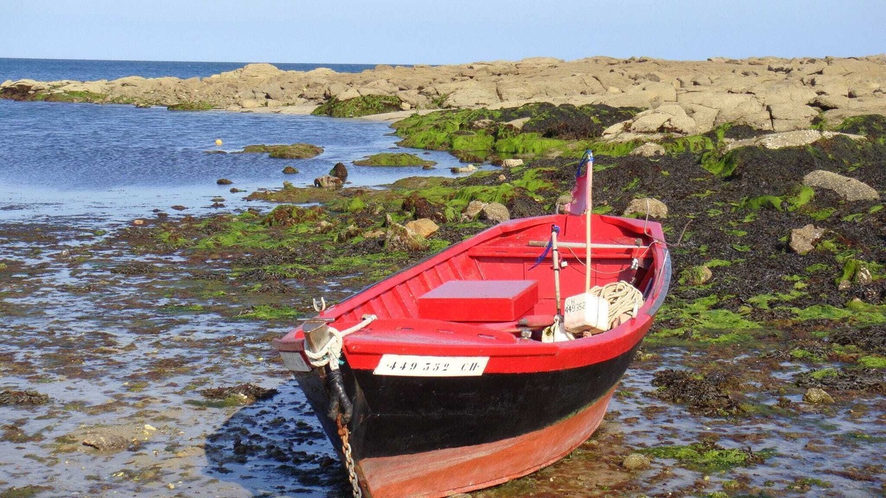 Photo of Others in Saint-Remy-des-Landes