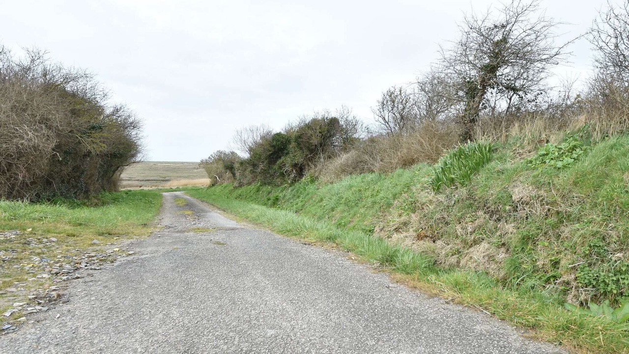 Photo of Others in Saint-Remy-des-Landes