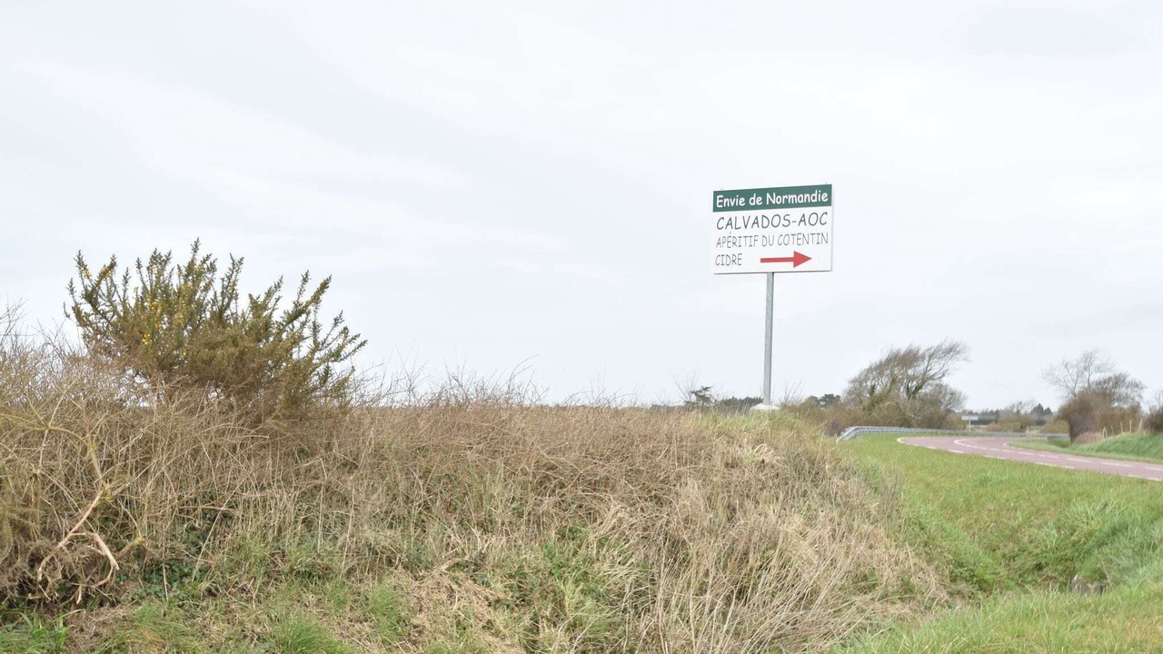 Photo of Others in Saint-Remy-des-Landes