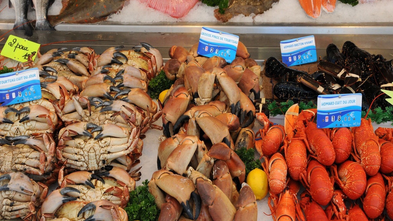 Photo of Others in Appeville