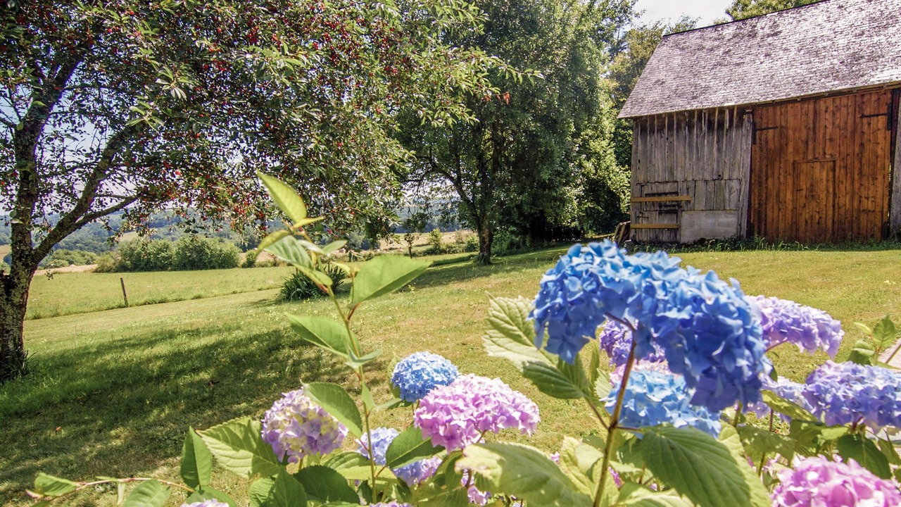 Photo of Others in Savignac-Ledrier