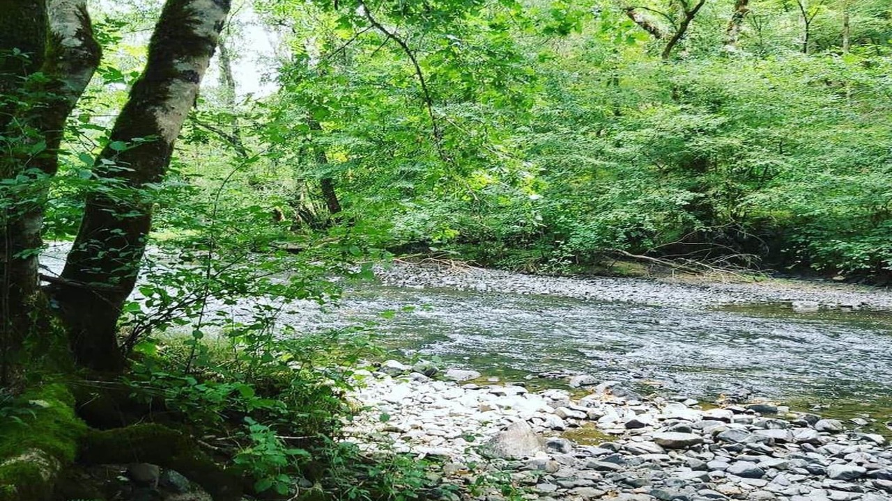 Photo of Others in Savignac-Ledrier