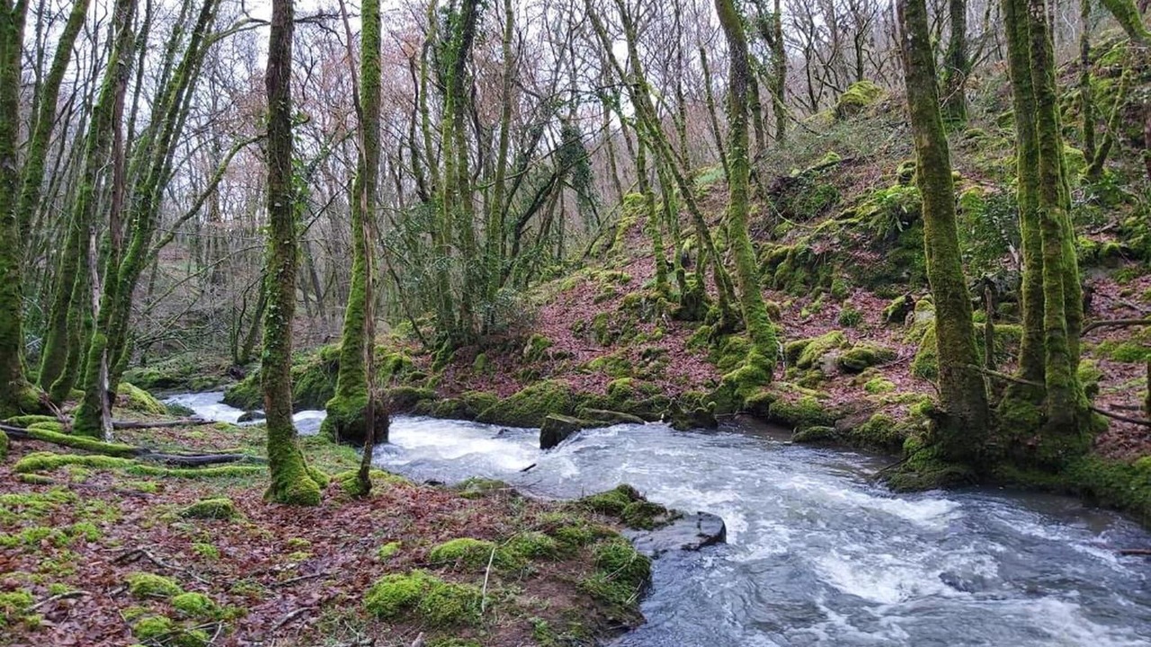 Photo of Others in Savignac-Ledrier