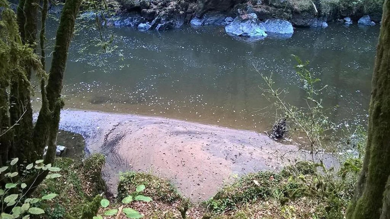 Photo of Others in Savignac-Ledrier