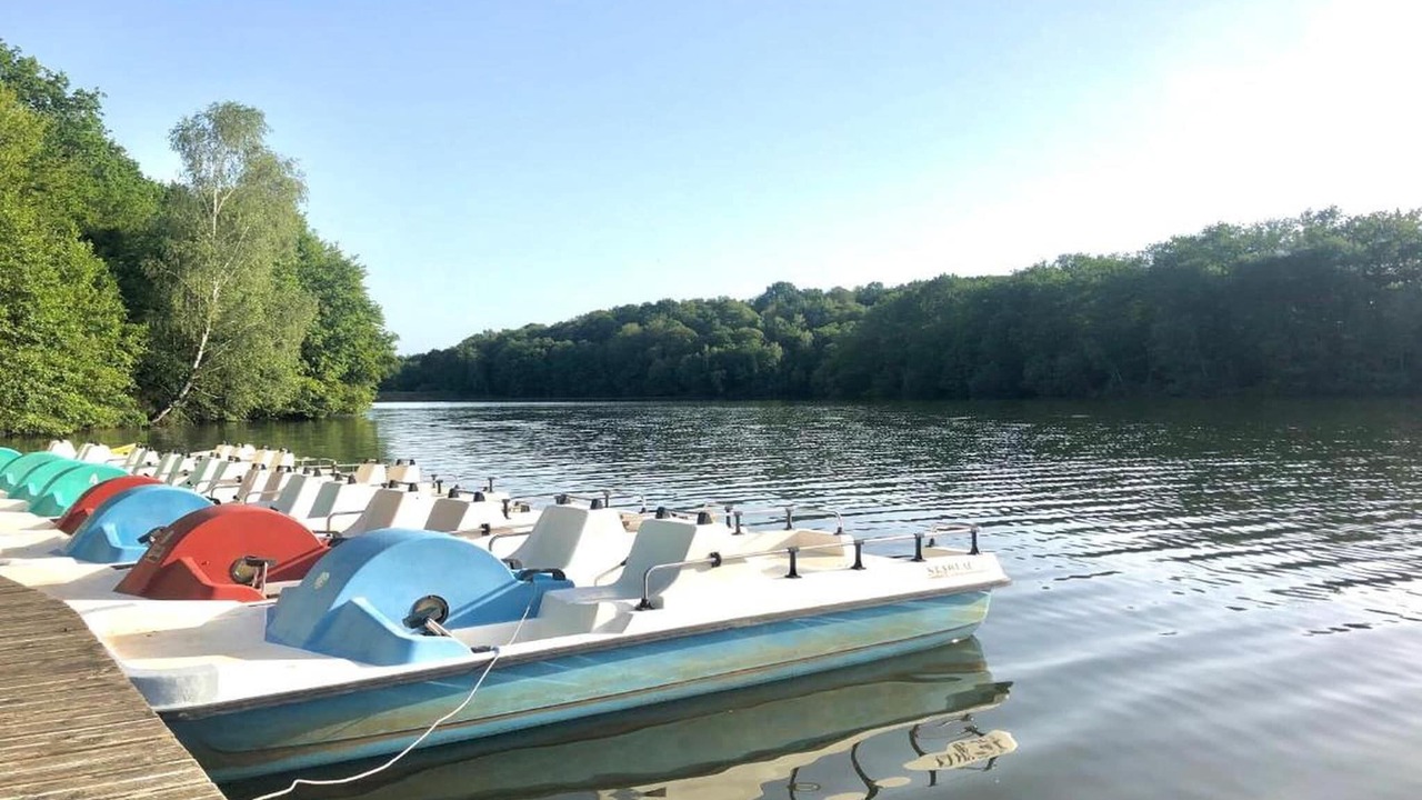 Photo of Others in Savignac-Ledrier