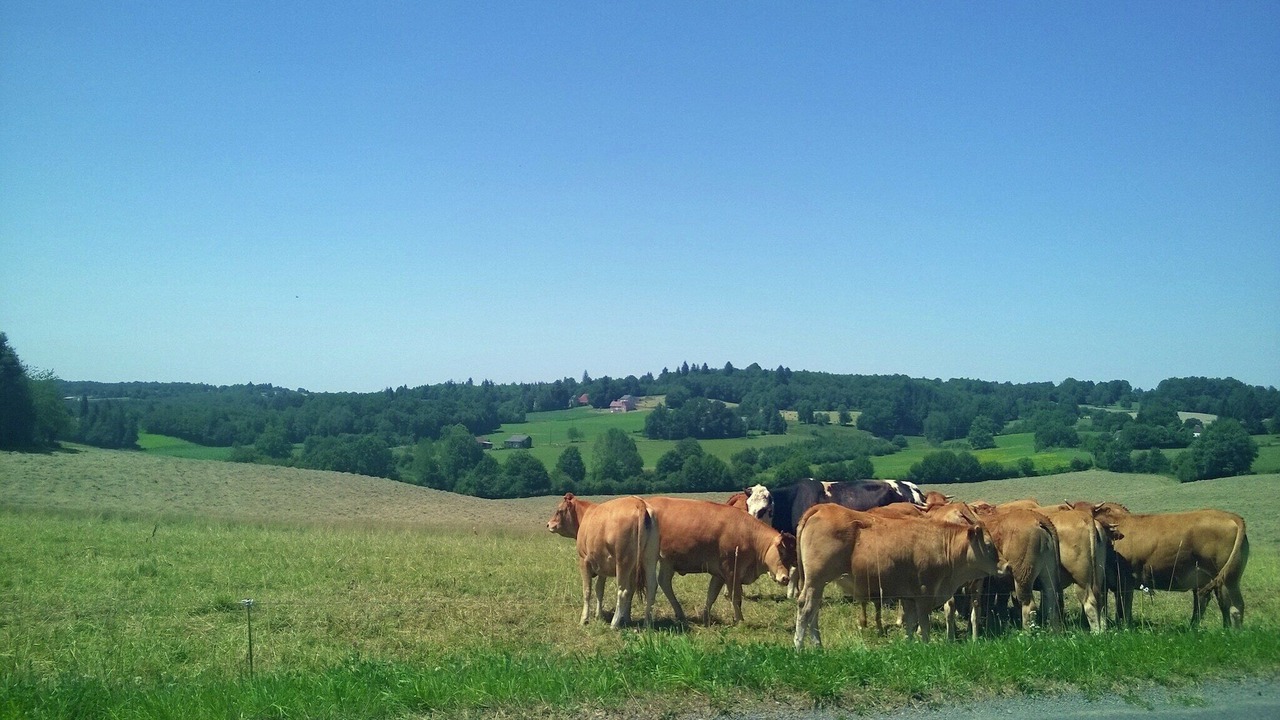 Photo of Others in Savignac-Ledrier
