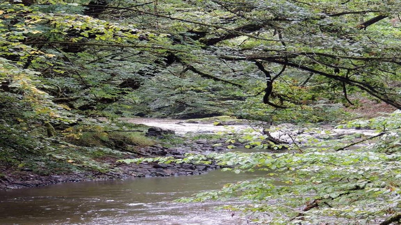 Photo of Others in Savignac-Ledrier