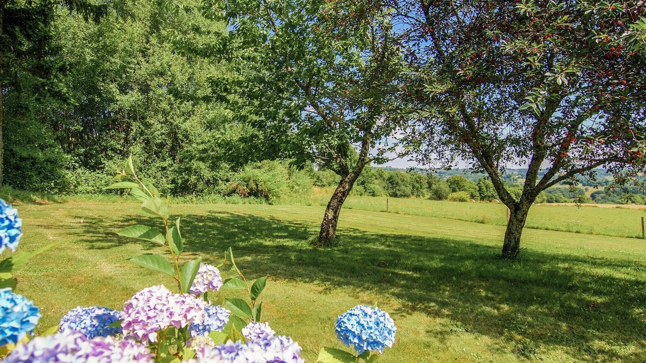 Photo of Others in Savignac-Ledrier