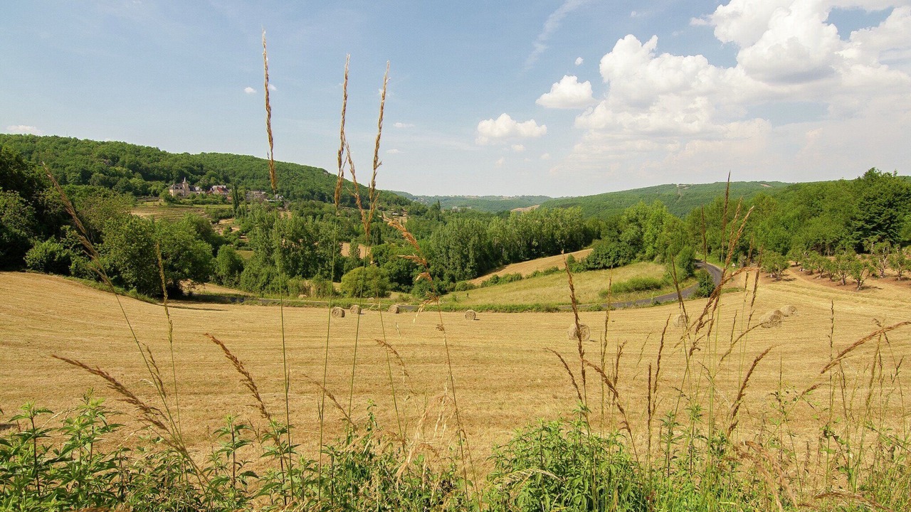 Photo of Others in Malemort-sur-Correze