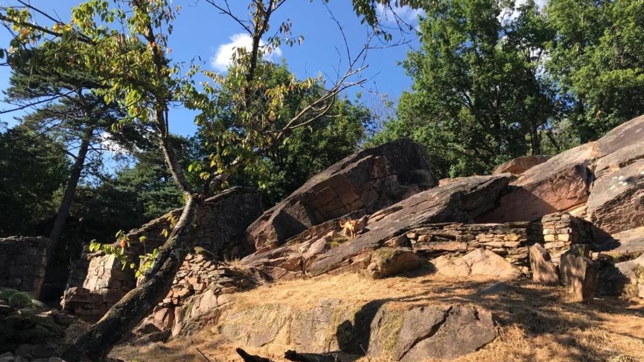 Photo of Others in Malemort-sur-Correze