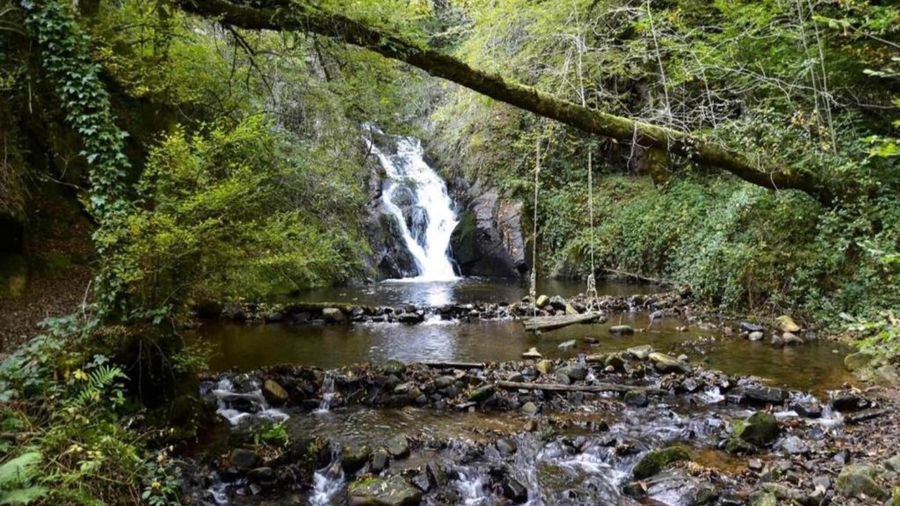 Photo of Others in Malemort-sur-Correze