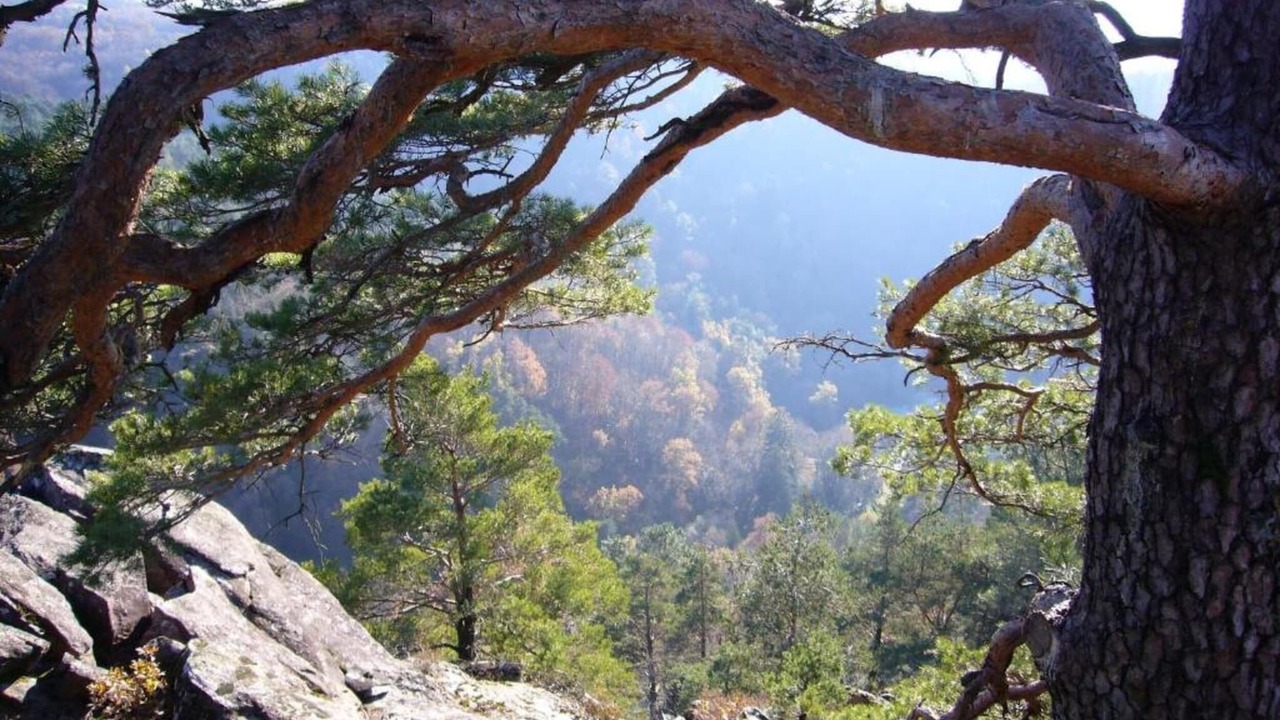 Photo of Others in Malemort-sur-Correze