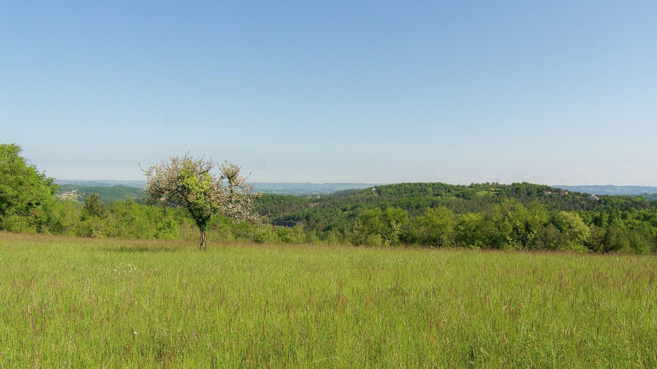 Photo of Others in Malemort-sur-Correze