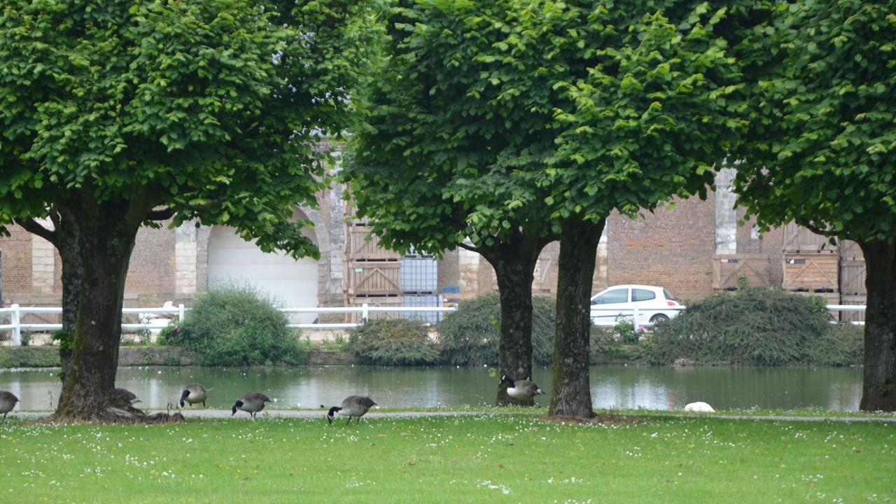 Photo of Others in Gouy-Saint-Andre