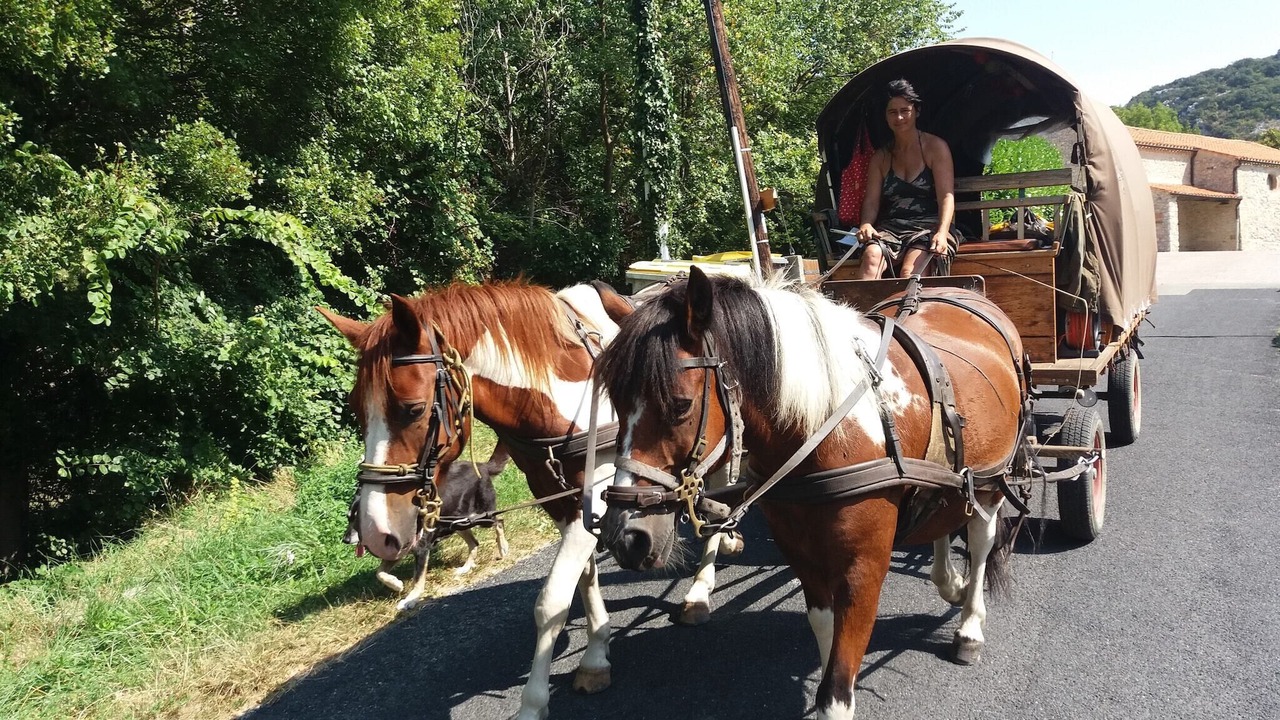 Photo of Others in Fenouillet