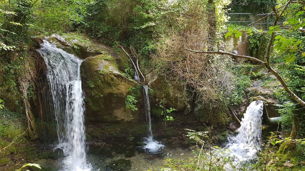 Photo of Others in Fenouillet