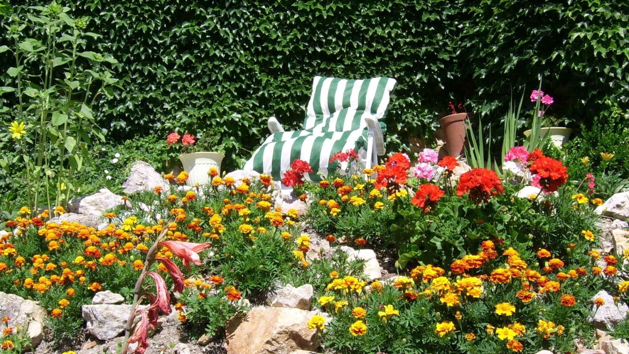 Photo of Outdoor in Fenouillet