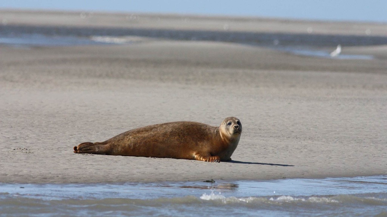 Photo of Others in Vitz-sur-Authie