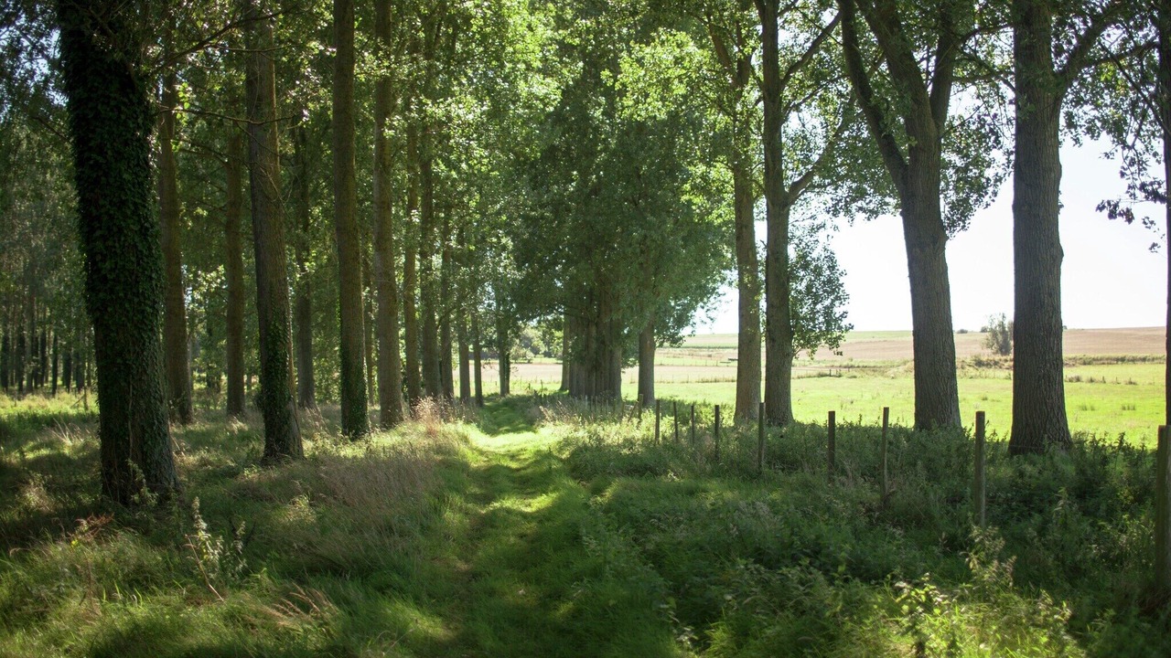 Photo of Others in Vitz-sur-Authie