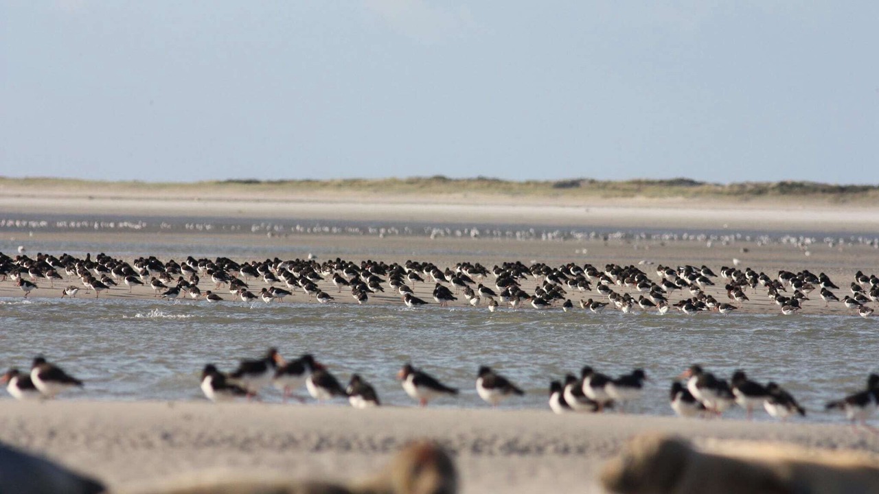 Photo of Others in Vitz-sur-Authie