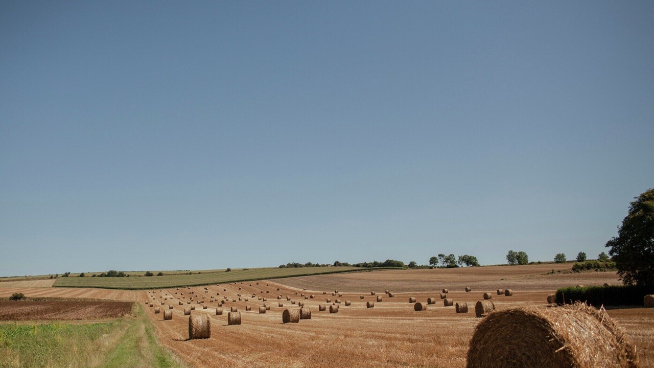 Photo of Others in Vitz-sur-Authie