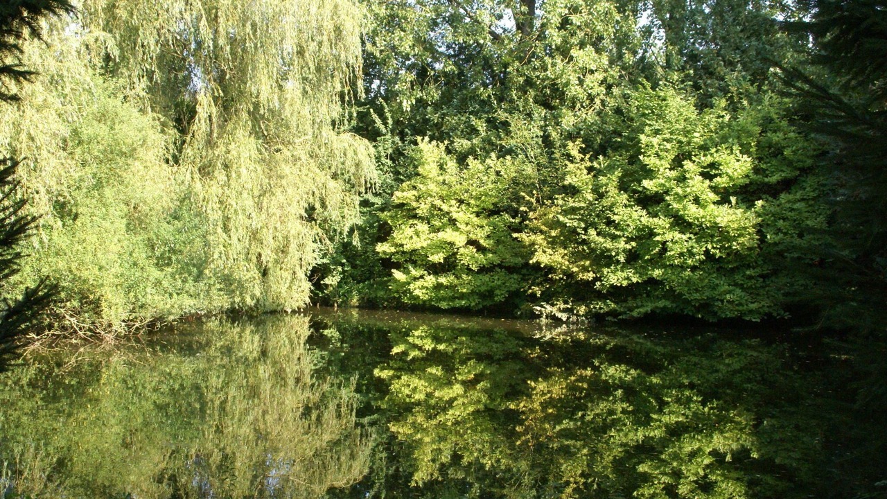 Photo of Others in Vitz-sur-Authie