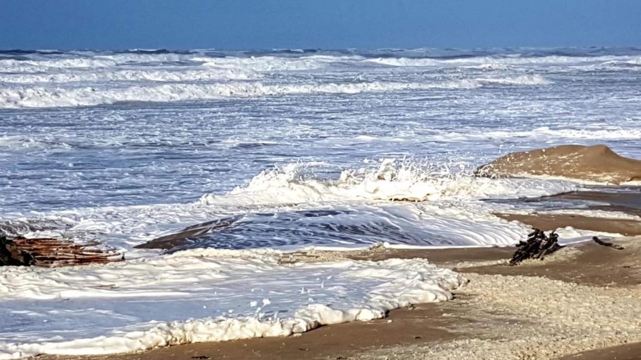Photo of Others in Berck-sur-Mer