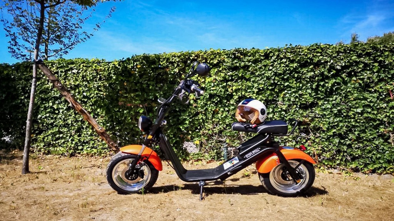 Photo of Others in Berck-sur-Mer