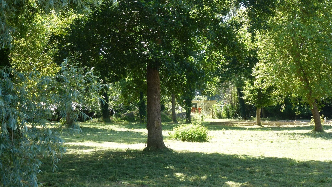Photo of Others in Berck-sur-Mer