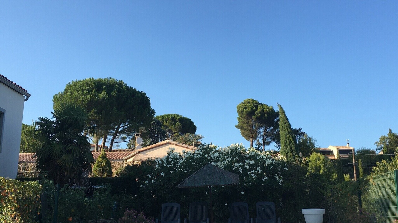 Photo of Others in Carcassonne