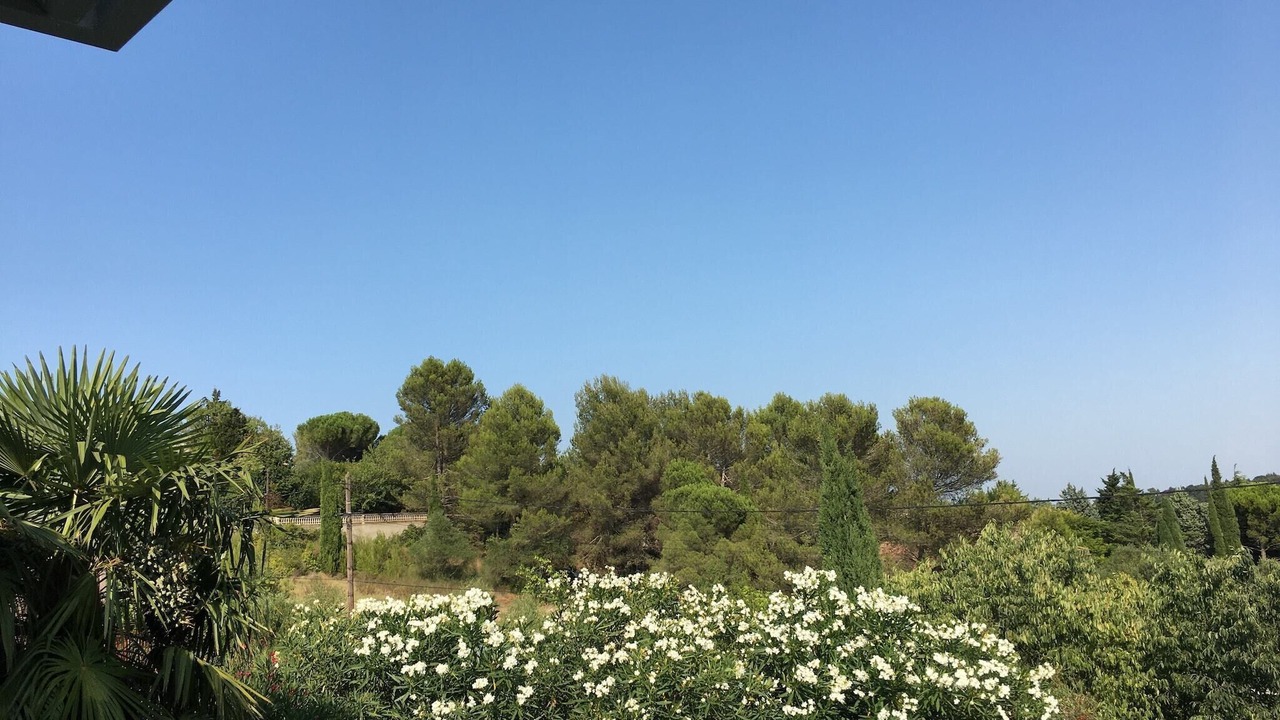 Photo of Others in Carcassonne