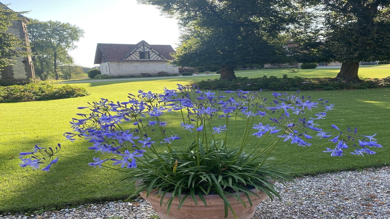 Photo of Others in Fransu