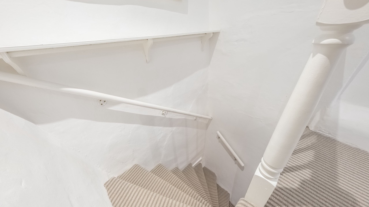 Photo of Others in Great Snoring