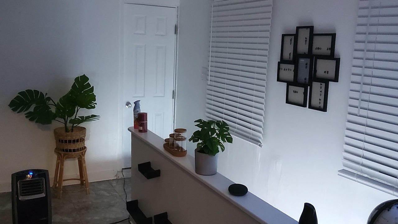 Photo of Others in Fells Point