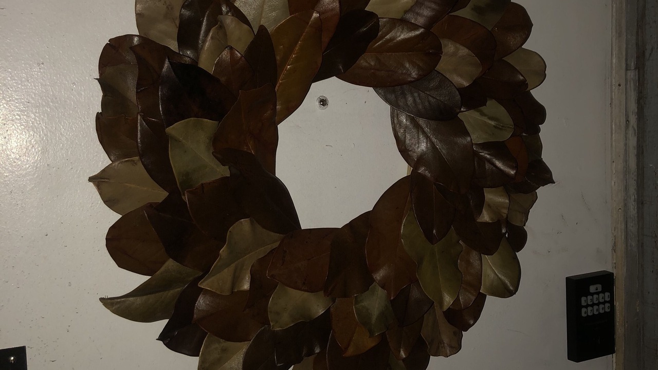 Photo of Others in Fells Point