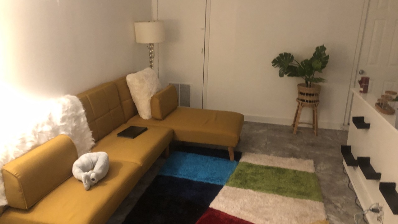Photo of Livingroom in Fells Point
