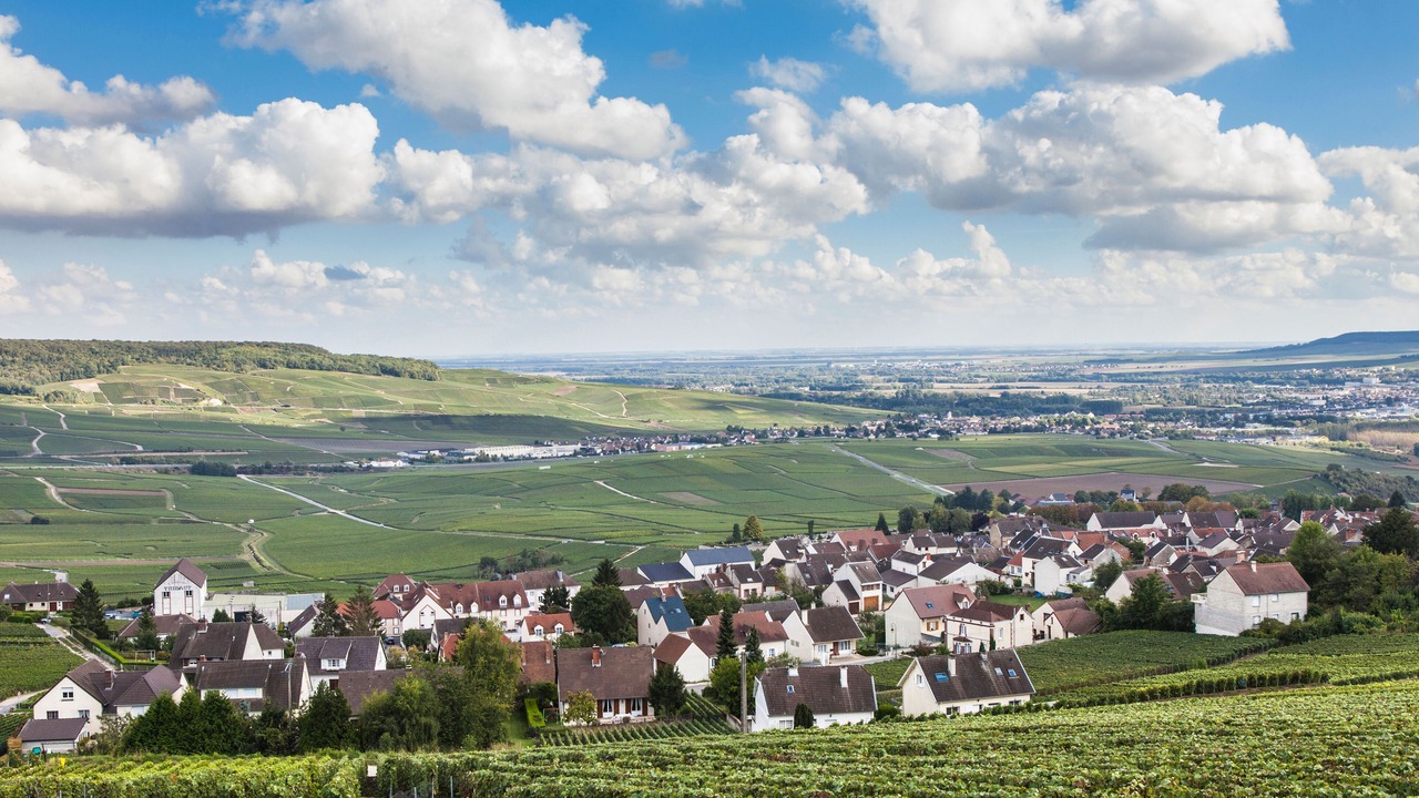 Photo of Others in Hautvillers