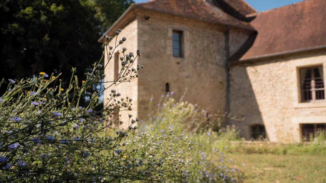 Photo of Outdoor in Le Bugue