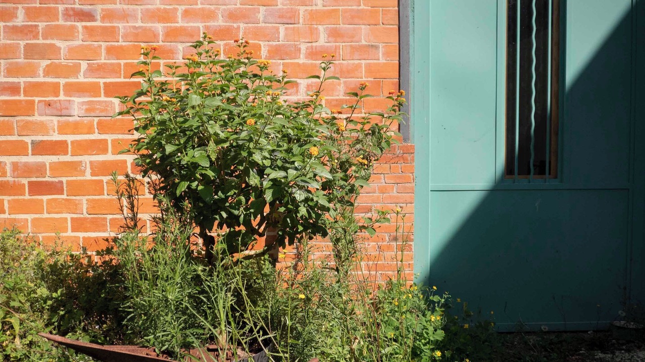 Photo of Outdoor in Le Bugue